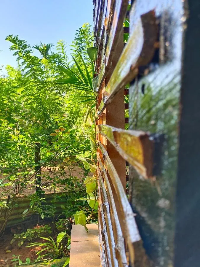 Anamala Serenity Homestay Kerala Lakkidi 0*,