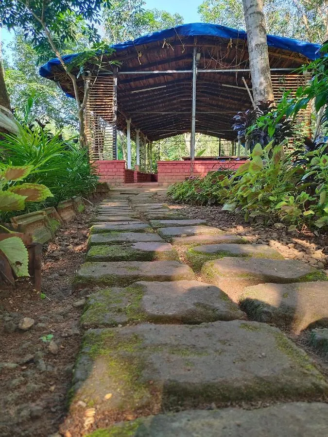 Anamala Serenity Homestay Kerala Lakkidi