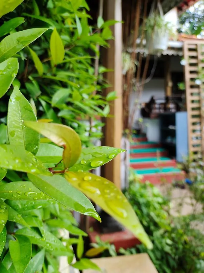 Anamala Serenity Homestay Kerala Lakkidi Indien