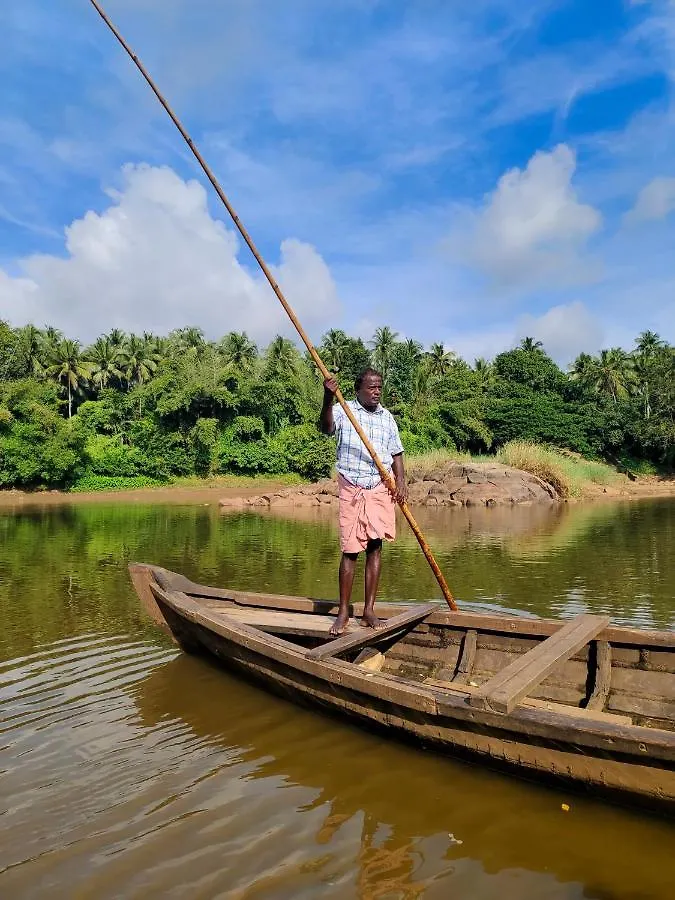 Anamala Serenity Homestay Kerala Lakkidi