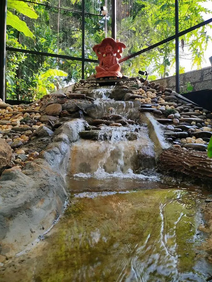Anamala Serenity Homestay Kerala Lakkidi